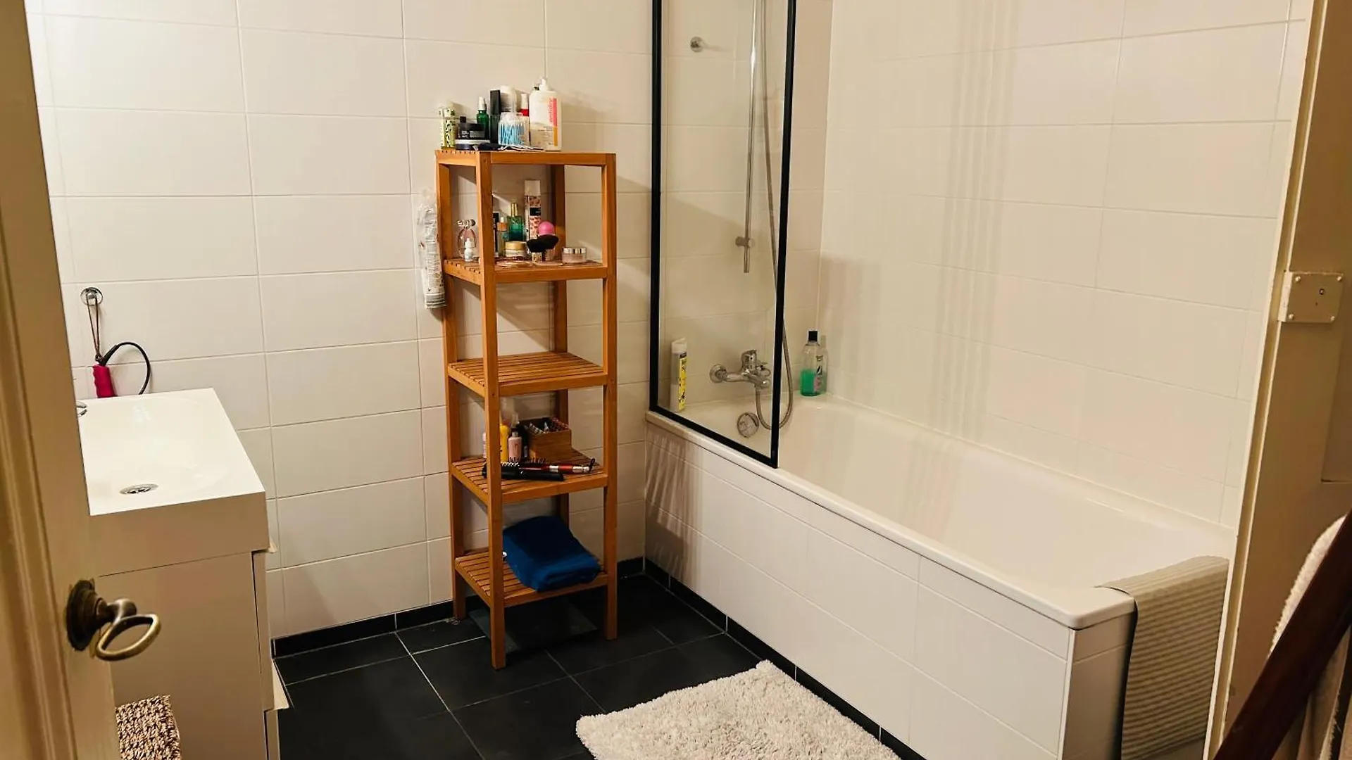 Grande Chambre Au Bord Du Lac Γενεύη Ελβετία